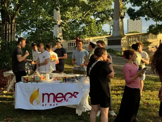 MEOR Harvard